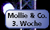 Mollie und Co. [18. März 2001]