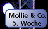 Mollie und Co. [1. April 2001]